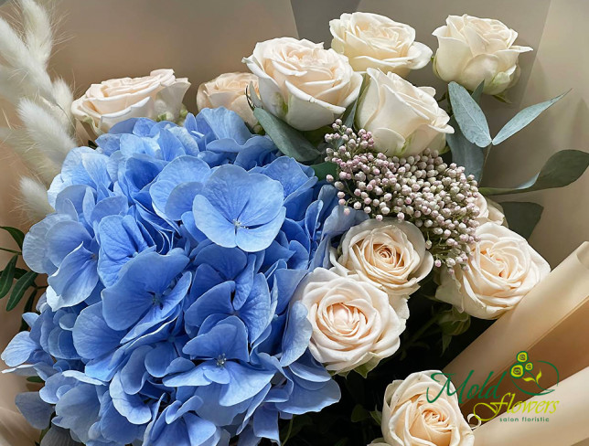Buchet din hortensia albastra si trandafiri crem foto
